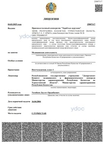 Лицензия Лицензия