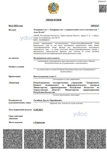 Лицензия Лицензия