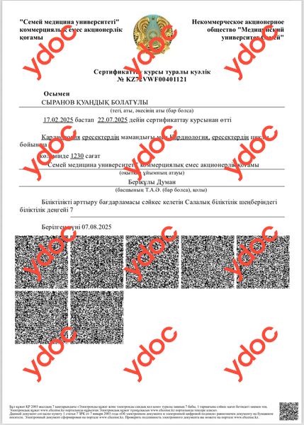 Документы и фотографии - Сыранов К. Б.