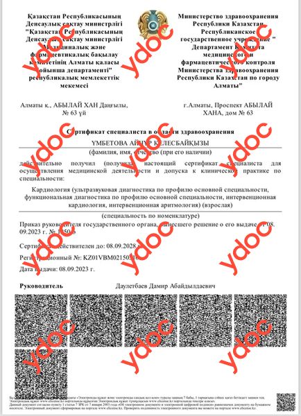 Документы и фотографии - Умбетова А. К.