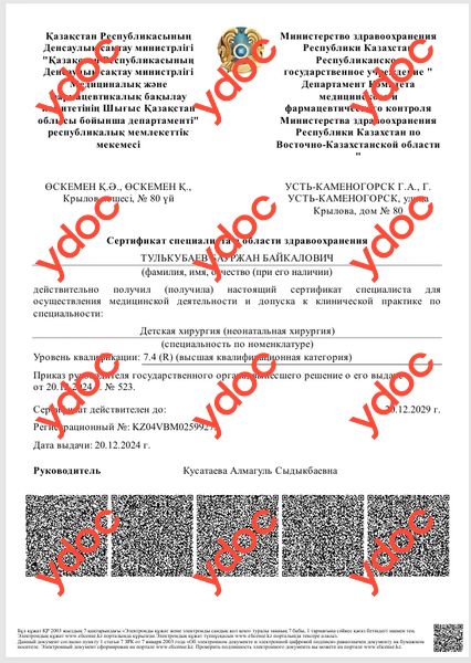 Документы и фотографии - Тулькубаев Б. Б.