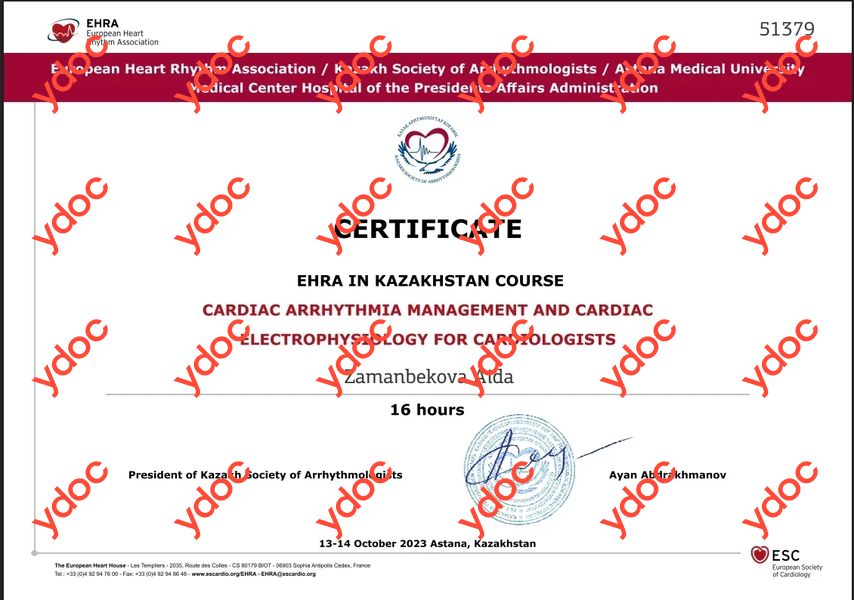 Документы и фотографии - Заманбекова А. А.