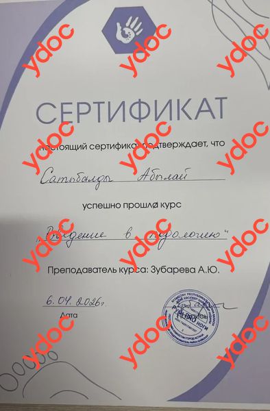 Құжаттар мен фотосуреттер - Сатыбалды А.