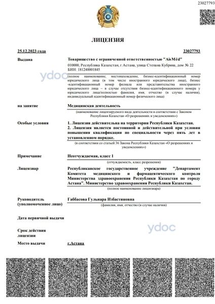 Лицензия Лицензия