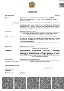 Лицензия Лицензия