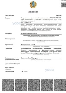 Лицензия Лицензия