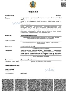 Лицензия Лицензия