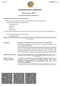 Приложение к лицензии