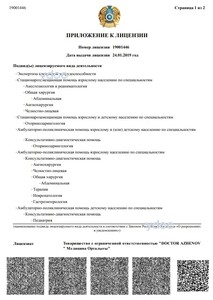 Приложение к лицензии