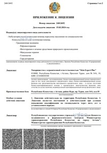 Приложение к лицензии