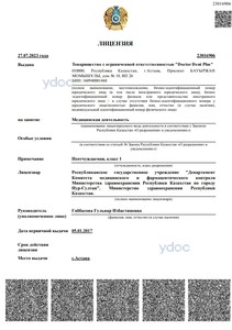 Лицензия Лицензия