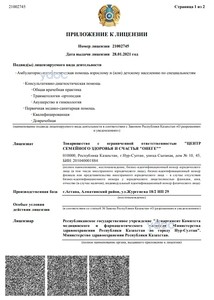 Приложение к лицензии