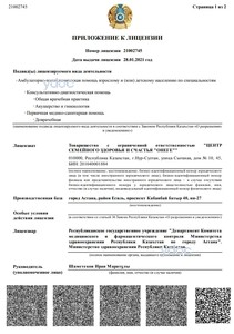 Приложение к лицензии