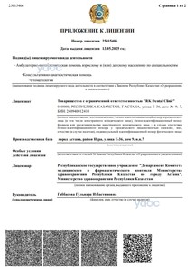 Лицензия Лицензия