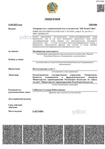 Лицензия Лицензия