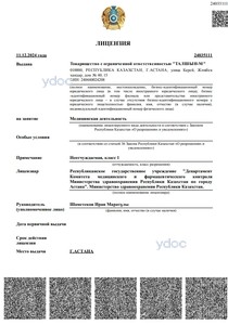 Лицензия Лицензия