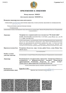 Приложение к лицензии