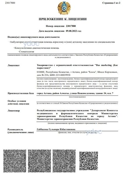 Лицензия Лицензия