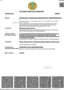 Лицензия Лицензия