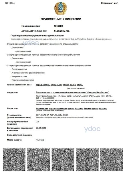 Лицензия Лицензия