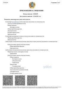 Приложение к лицензии Приложение к лицензии