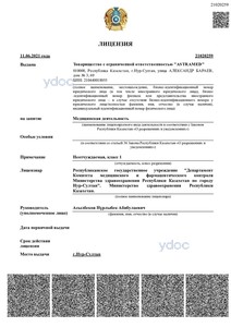 Лицензия Лицензия