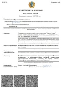 Лицензия Лицензия