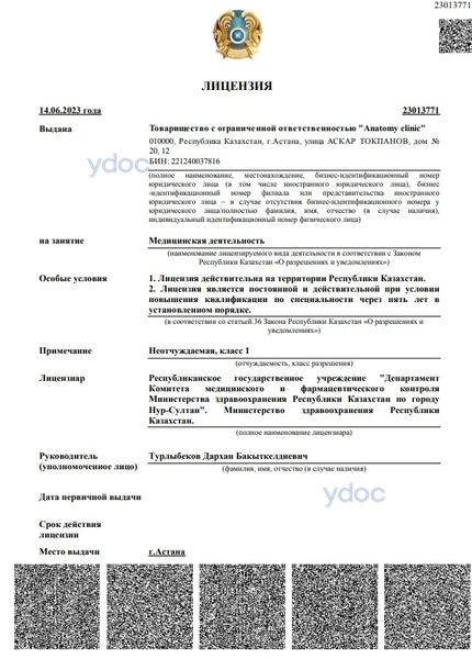 Лицензия Лицензия