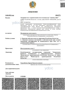 Лицензия Лицензия