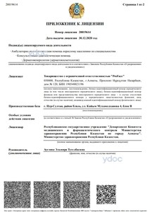 Приложение к лицензии