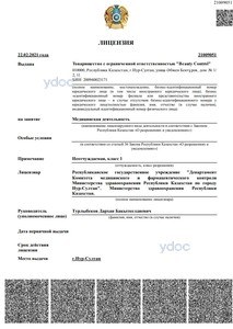 Лицензия Лицензия