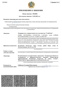 Лицензия Лицензия