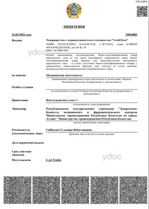 Лицензия Лицензия