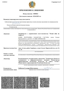 Лицензия Лицензия