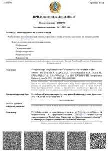 Лицензияға қосымша Лицензияға қосымша