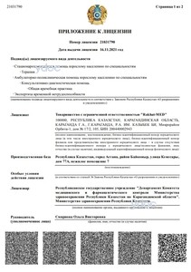 Лицензияға қосымша Лицензияға қосымша