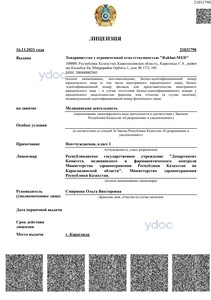 Лицензия Лицензия