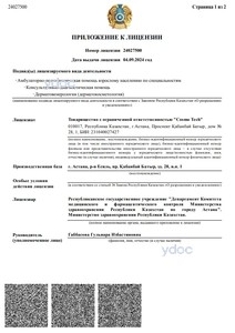 Приложение к лицензии