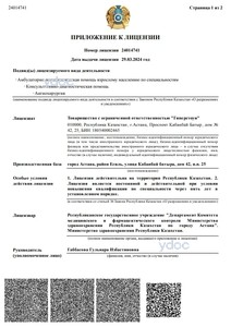 Приложение к лицензии