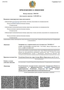 Приложение к лицензии Приложение к лицензии