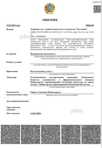 Лицензия Лицензия