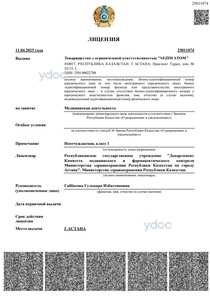 Лицензия Лицензия