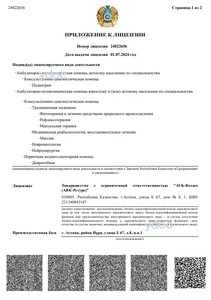 Приложение к лицензии