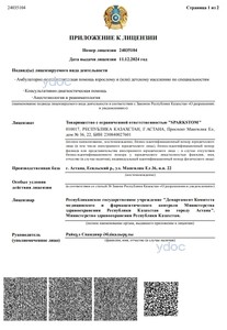 Приложение к лицензии