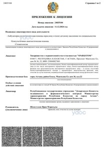 Приложение к лицензии