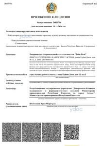 Приложение к лицензии