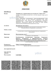 Лицензия Лицензия