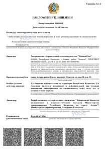 Приложение к лицензии