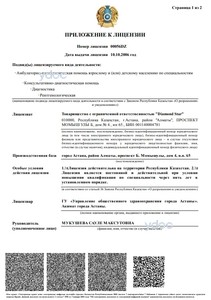 Приложение к лицензии