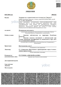 Лицензия Лицензия